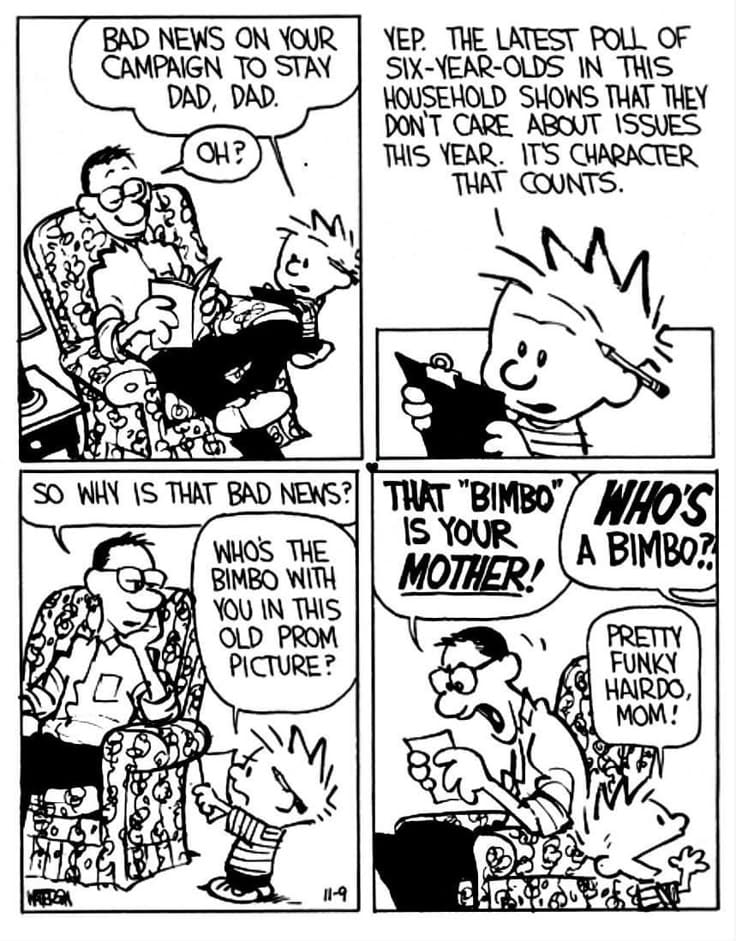 20 20 Hilarious Calvin and Hobbes Comics That Still Make Us Laugh Today