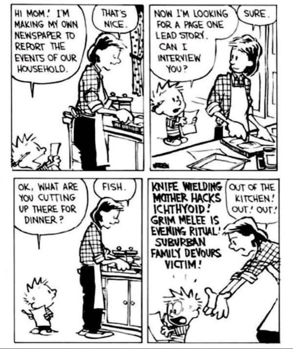 5 20 Hilarious Calvin and Hobbes Comics That Still Make Us Laugh Today