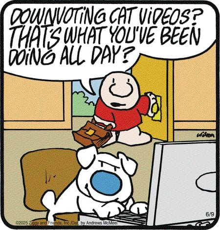 6-9 20 Best Ziggy Comics Review The Ultimate Dose of Classic Cartoon Wisdom